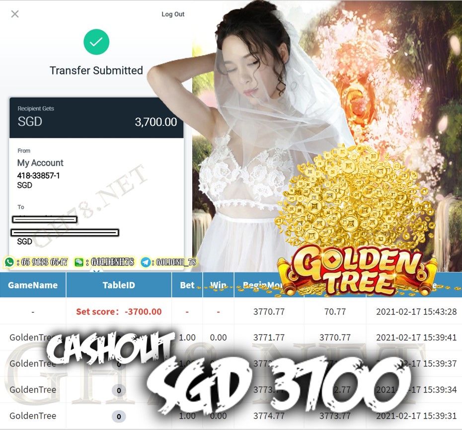 PUSSY888 GOLDEN TREE GAME CASHOUT SGD3700